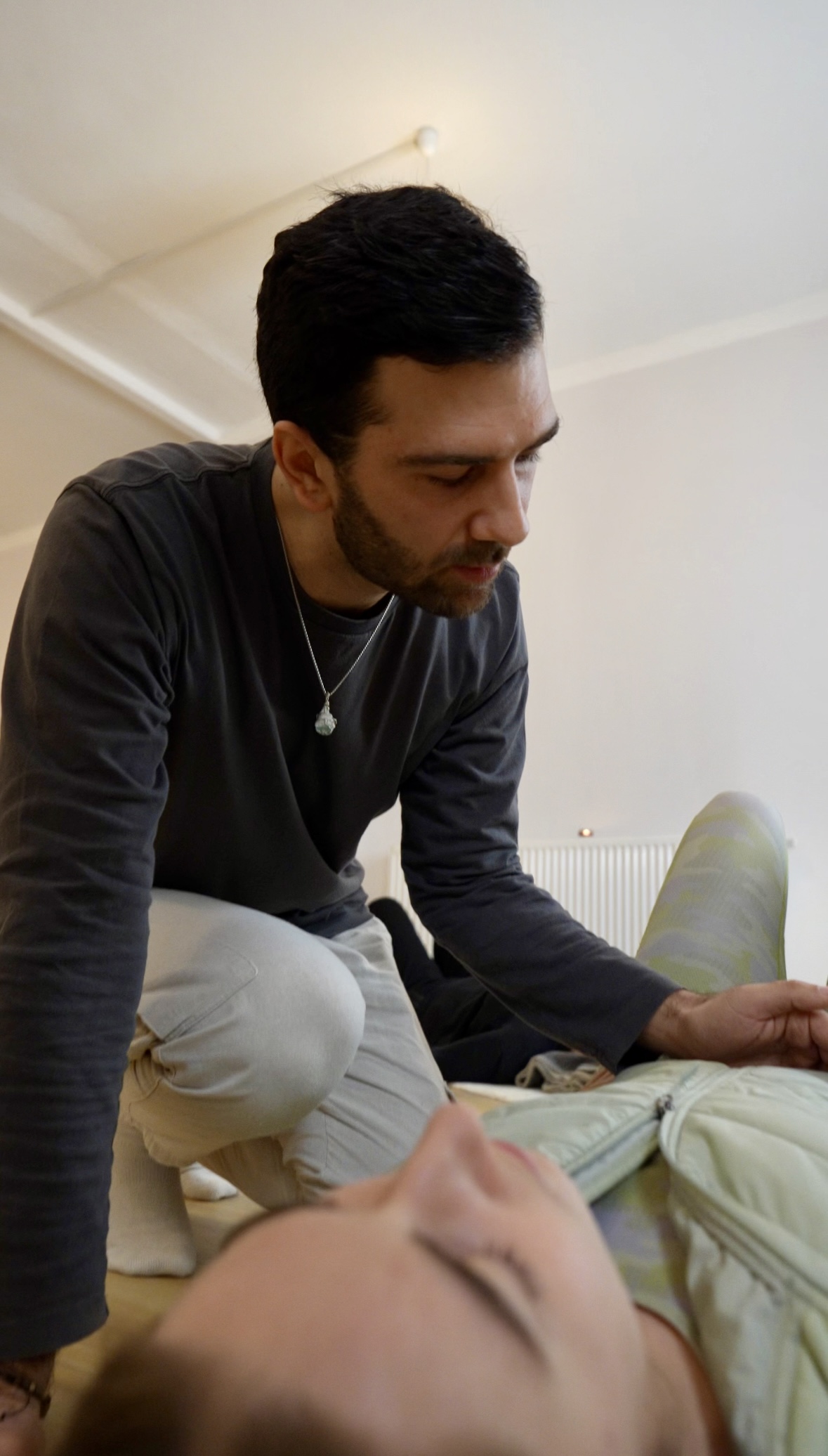 Free Your Nervous System – Onlinekurs